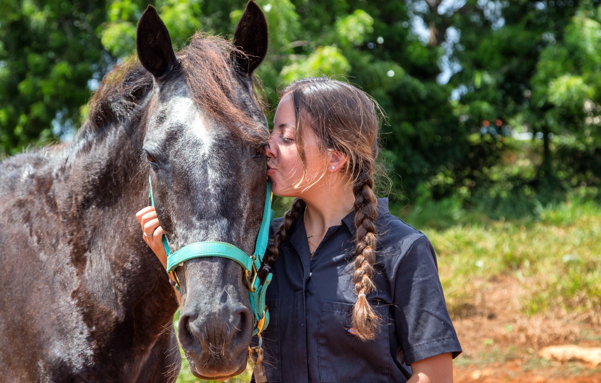 SMU Veterinary student kissing horse