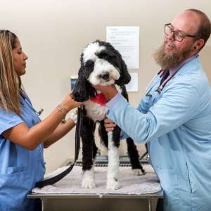 Clinical medicine