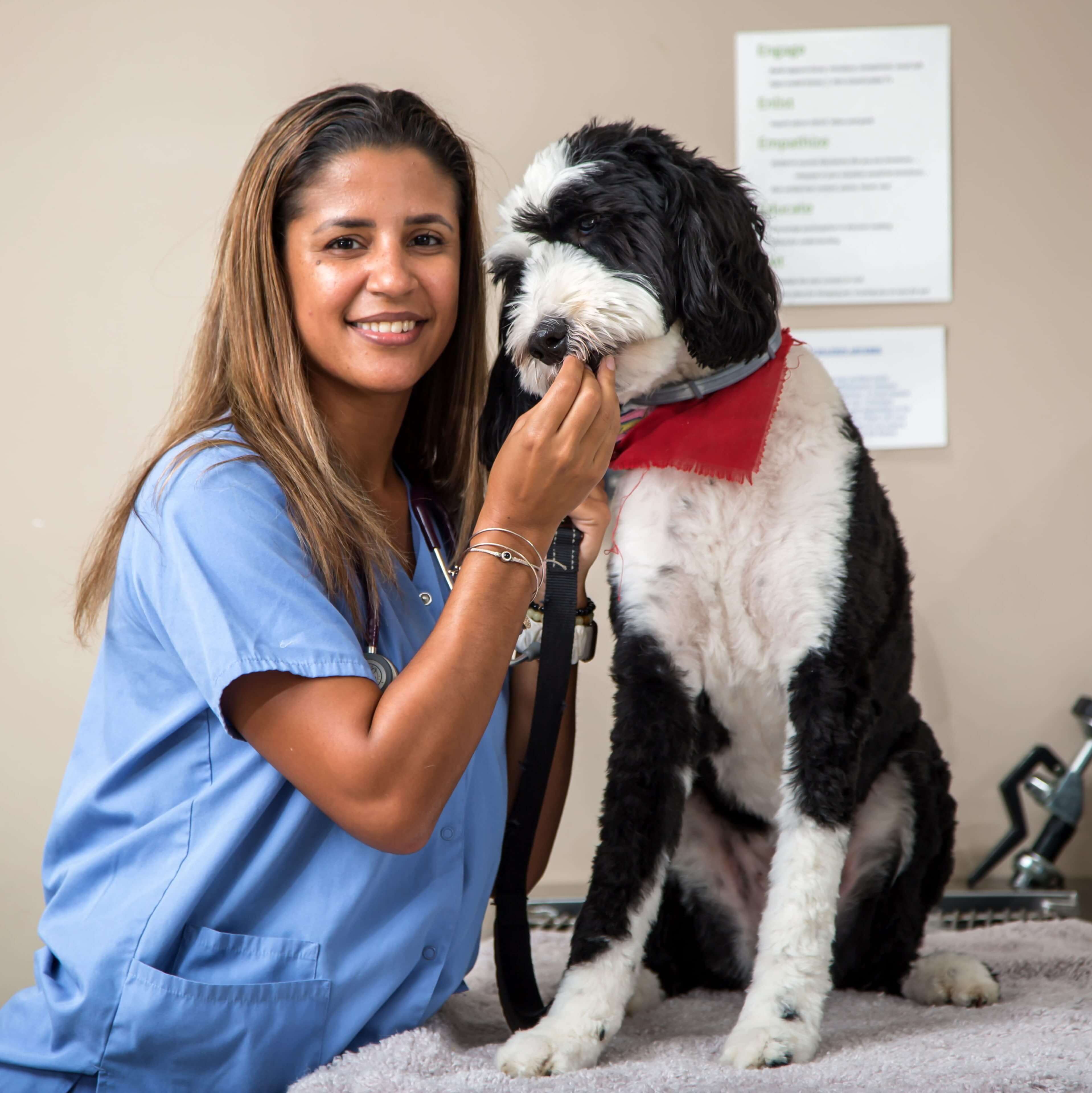PreVeterinary Master’s Program SMUSVM