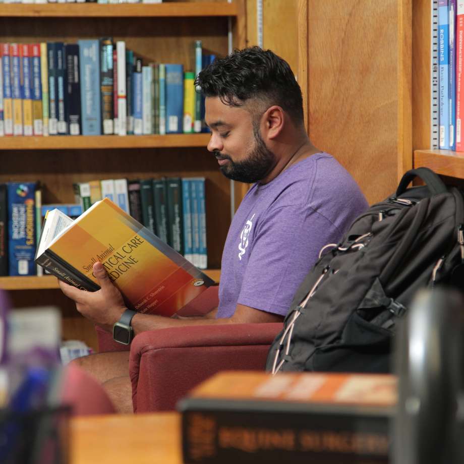 Student learning