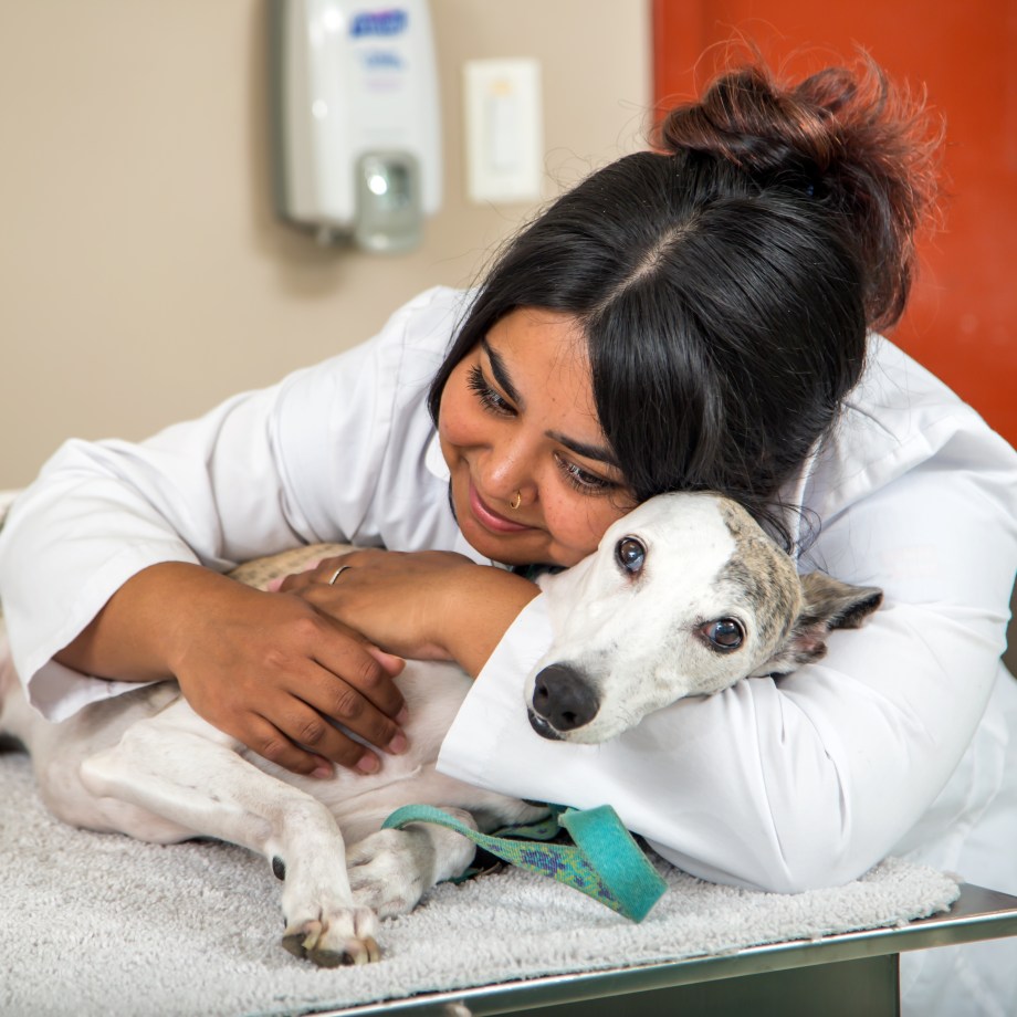 Image of DVM Student hugging a dog