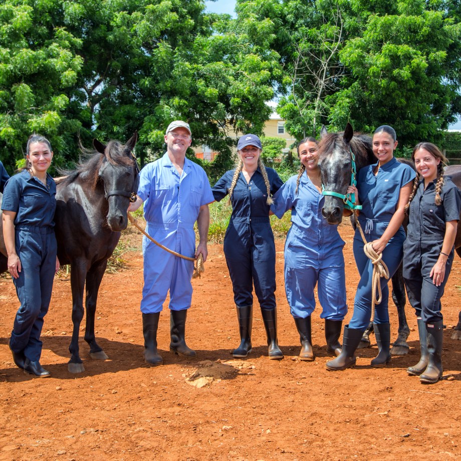 Transfer to St. Matthew’s University School of Veterinary Medicine
