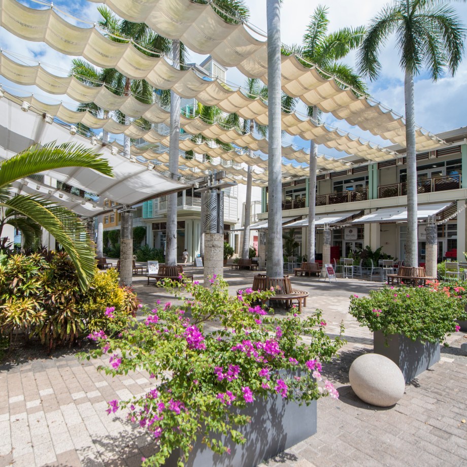 Caymana Bay in Grand Cayman