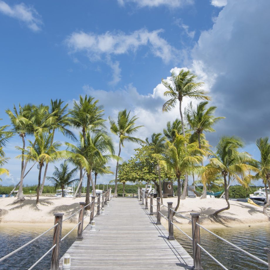 Caymana Bay in Grand Cayman