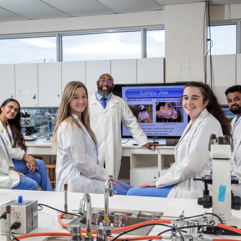 SMU Veterinary Students with Faculty in Microbiology lab