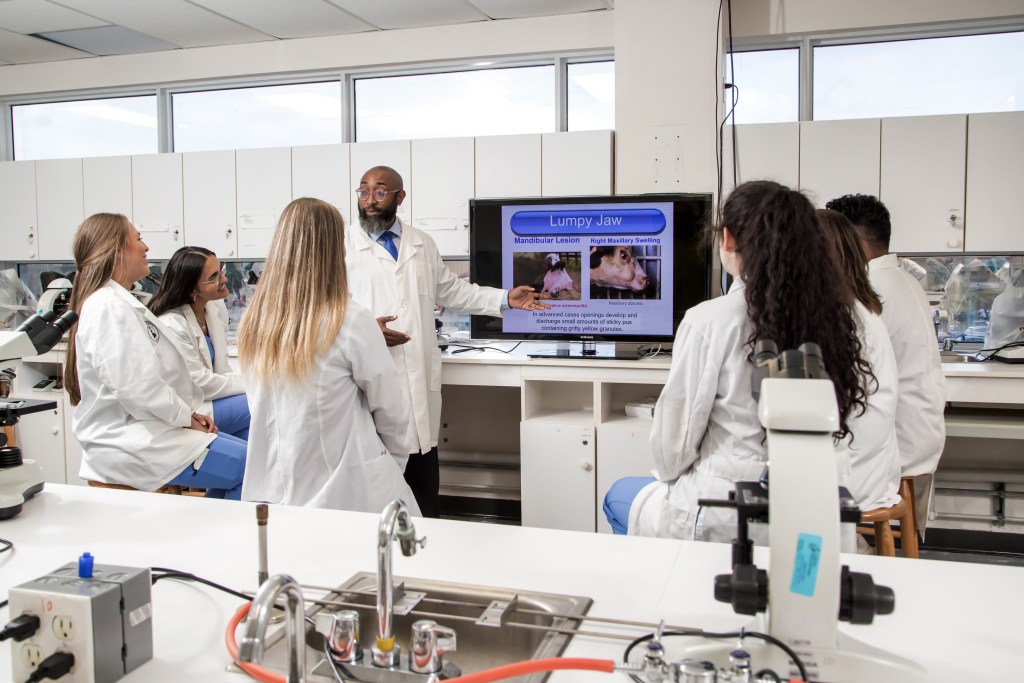 SMU Veterinary students learning in microbiology lab