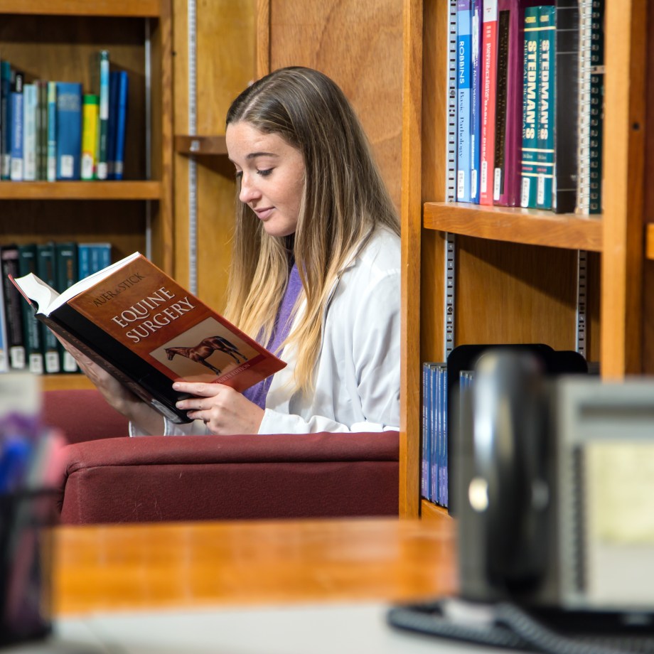SMU Veterinary student studying in library