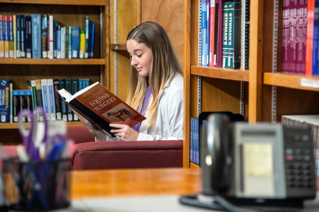 SMU Veterinary student studying in library