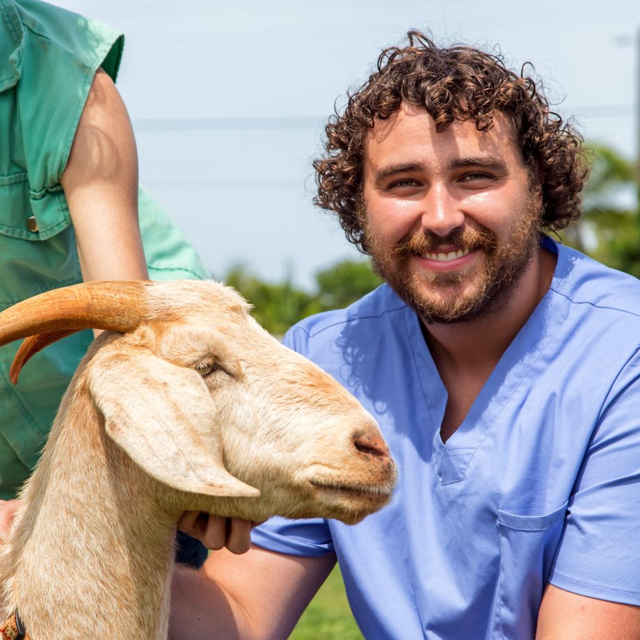 SMU Veterinary student working with goat