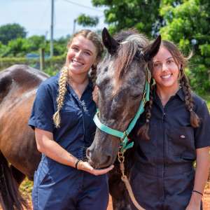 SMU Veterinary students working with horses