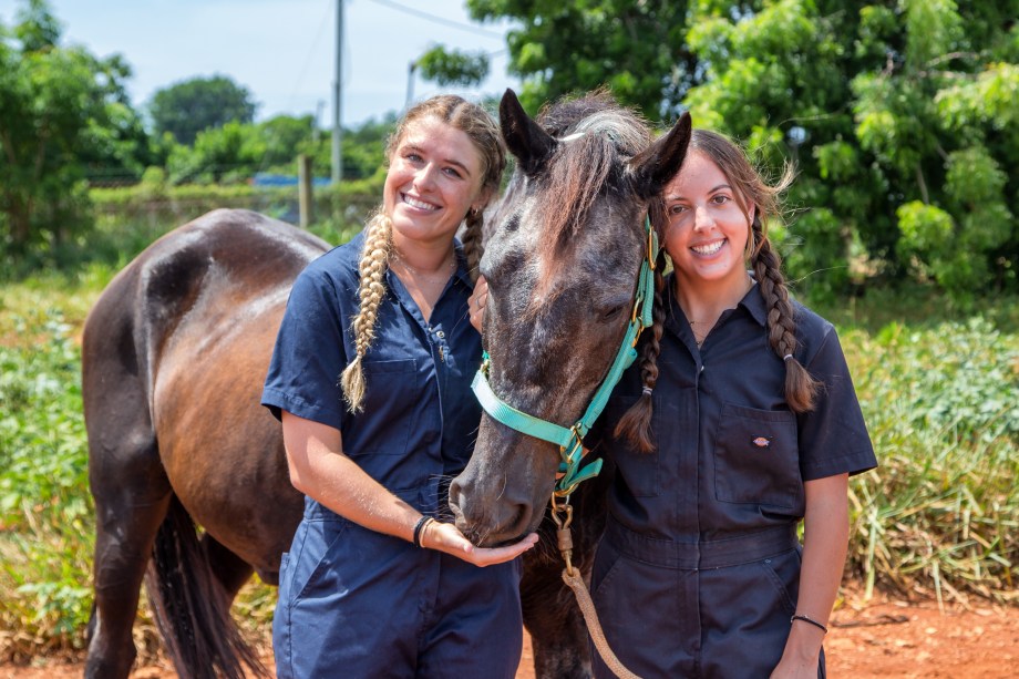 SMU Veterinary students working with horses
